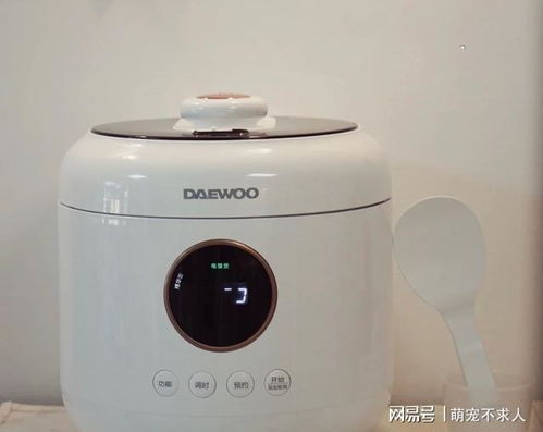 有哪些高顏值的小家電值得入手 這7件真心不錯,精致又實用